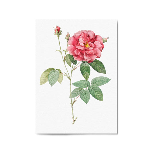 Flower Botanical Painting Kitchen Hallway Wall Art #17 - The Affordable Art Company