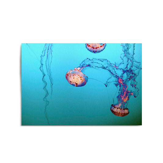 Deep Blue Jellyfish Neon Photograph Wall Art - The Affordable Art Company