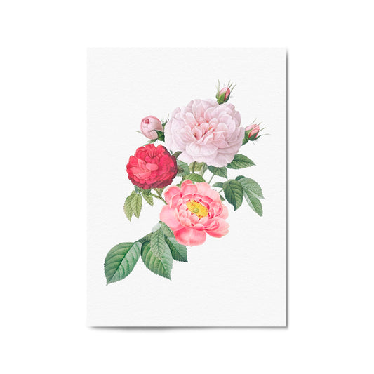 Botanical Flower Painting Floral Kitchen Wall Art #1 - The Affordable Art Company