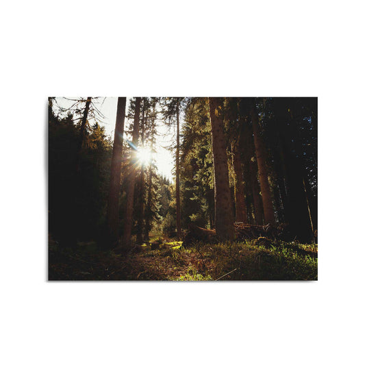 Morning Nature Sunset Photograph Wall Art - The Affordable Art Company