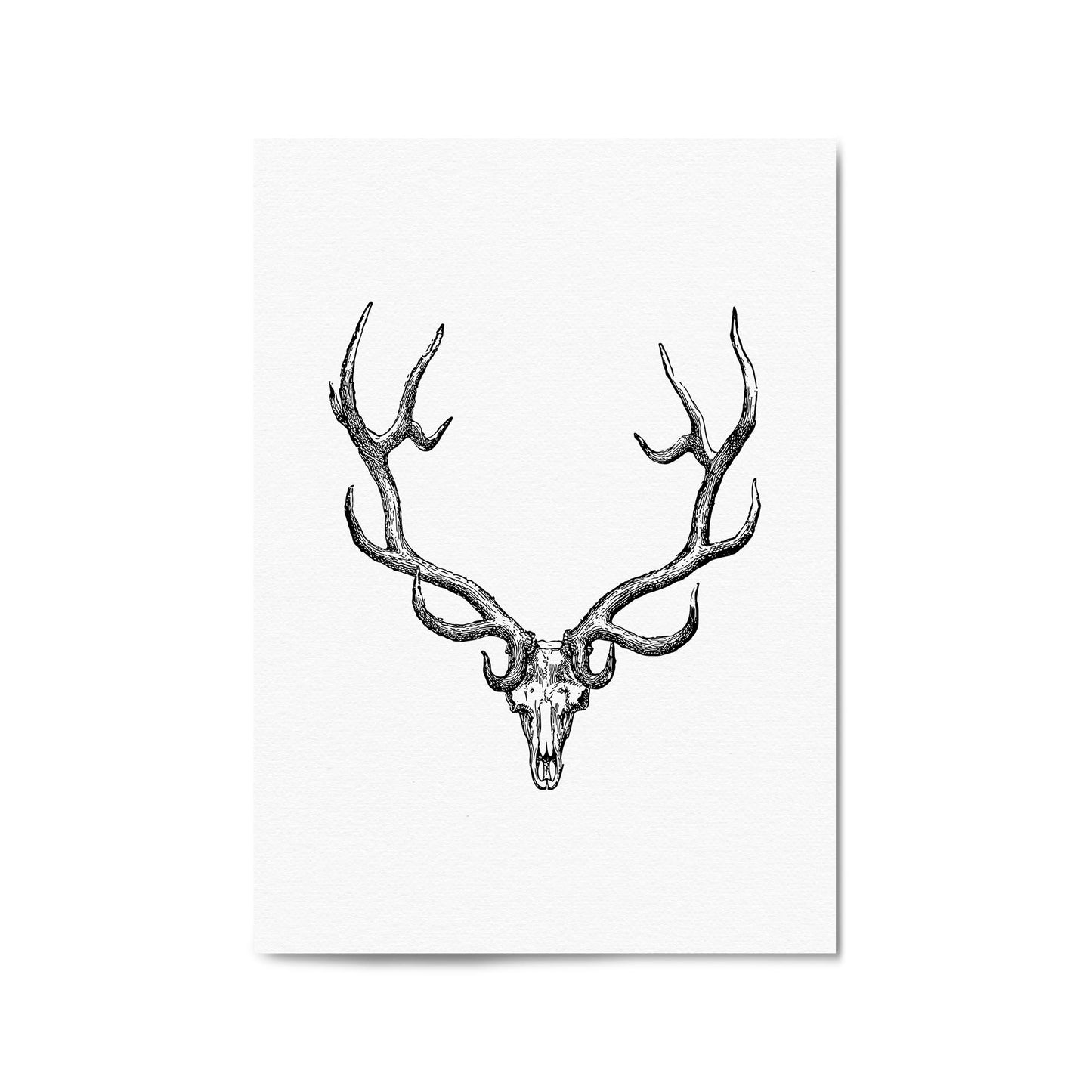 Wapiti Skull Man Cave Afrian Hunting Wall Art - The Affordable Art Company