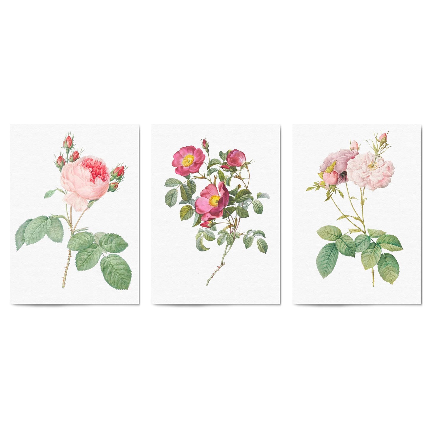 Set of Pink & White Flower Botanical Wall Art - The Affordable Art Company