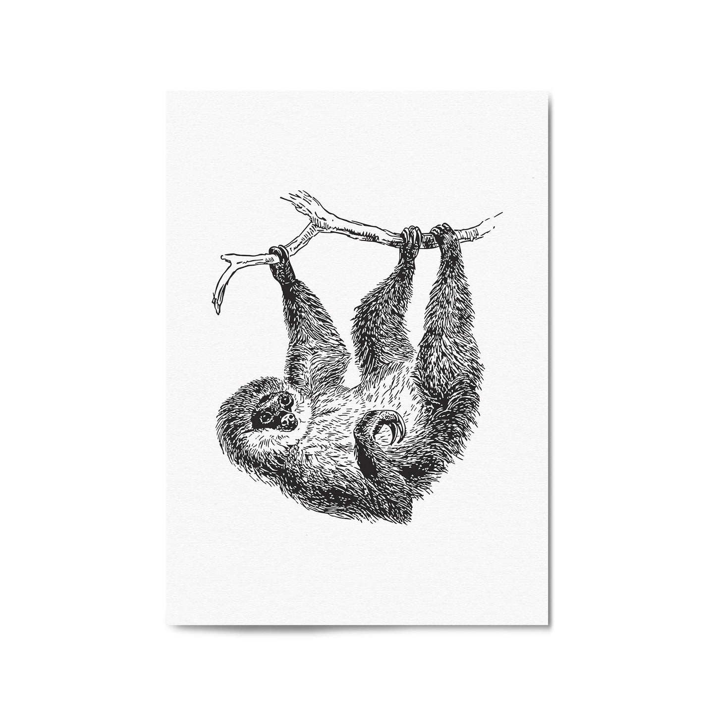 Sloth Drawing Animal Minimal Wall Art - The Affordable Art Company