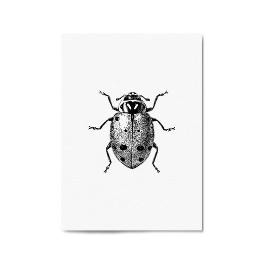 Ladybird Detailed Drawing Insect Office Wall Art - The Affordable Art Company