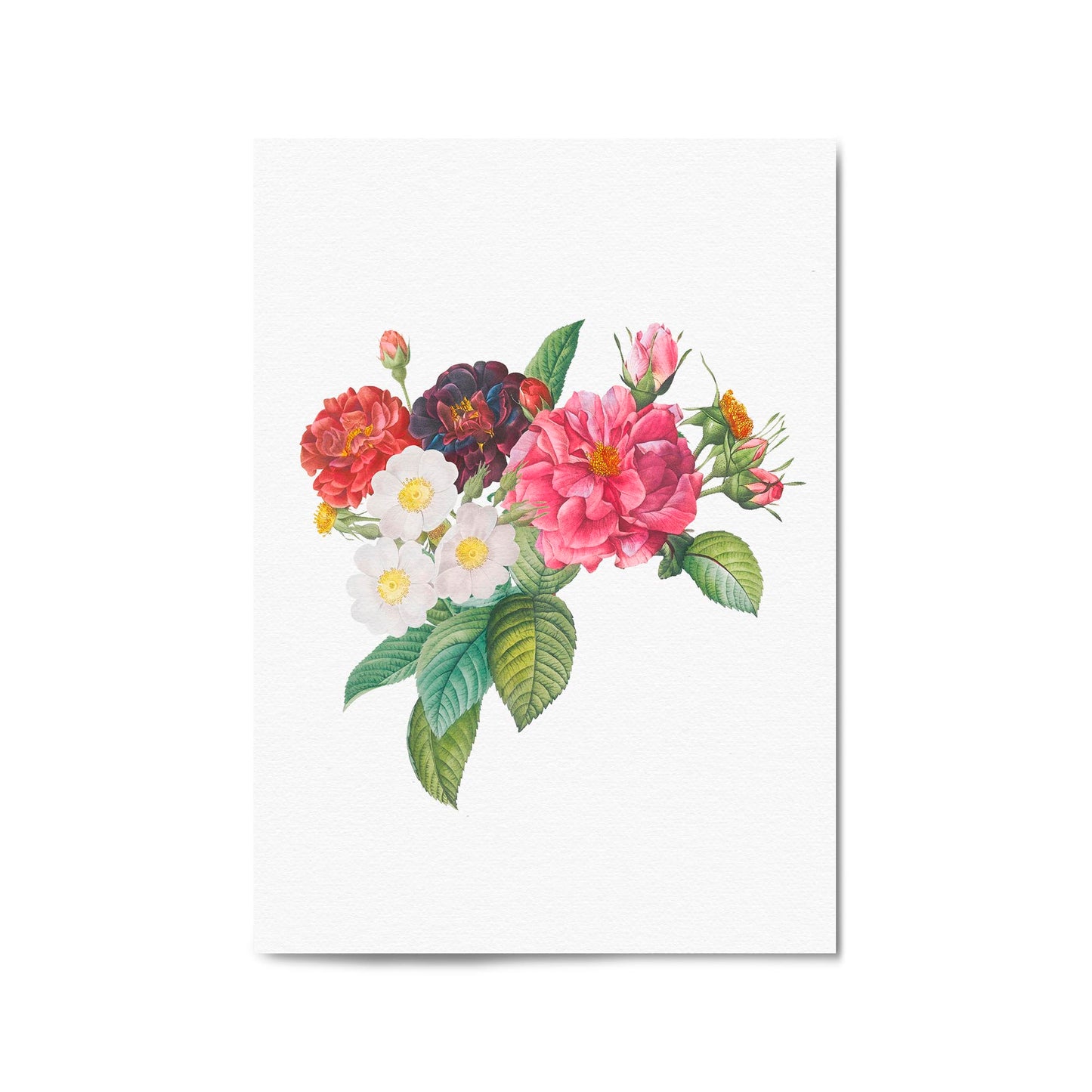 Botanical Flower Painting Floral Kitchen Wall Art #2 - The Affordable Art Company