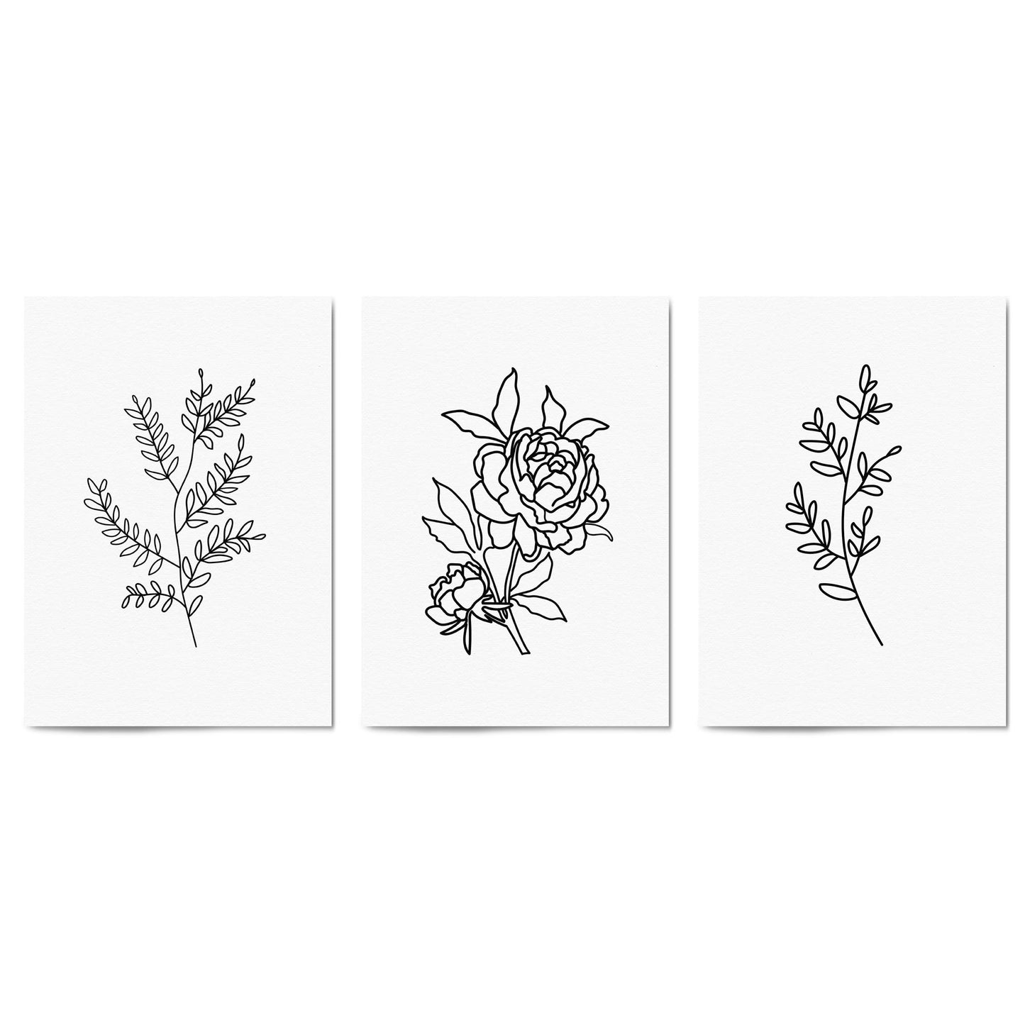 Set of Minimal Flower Line Drawings Wall Art #2 - The Affordable Art Company
