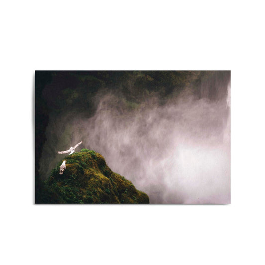 Wild Birds and Waterfall Photograph Wall Art - The Affordable Art Company