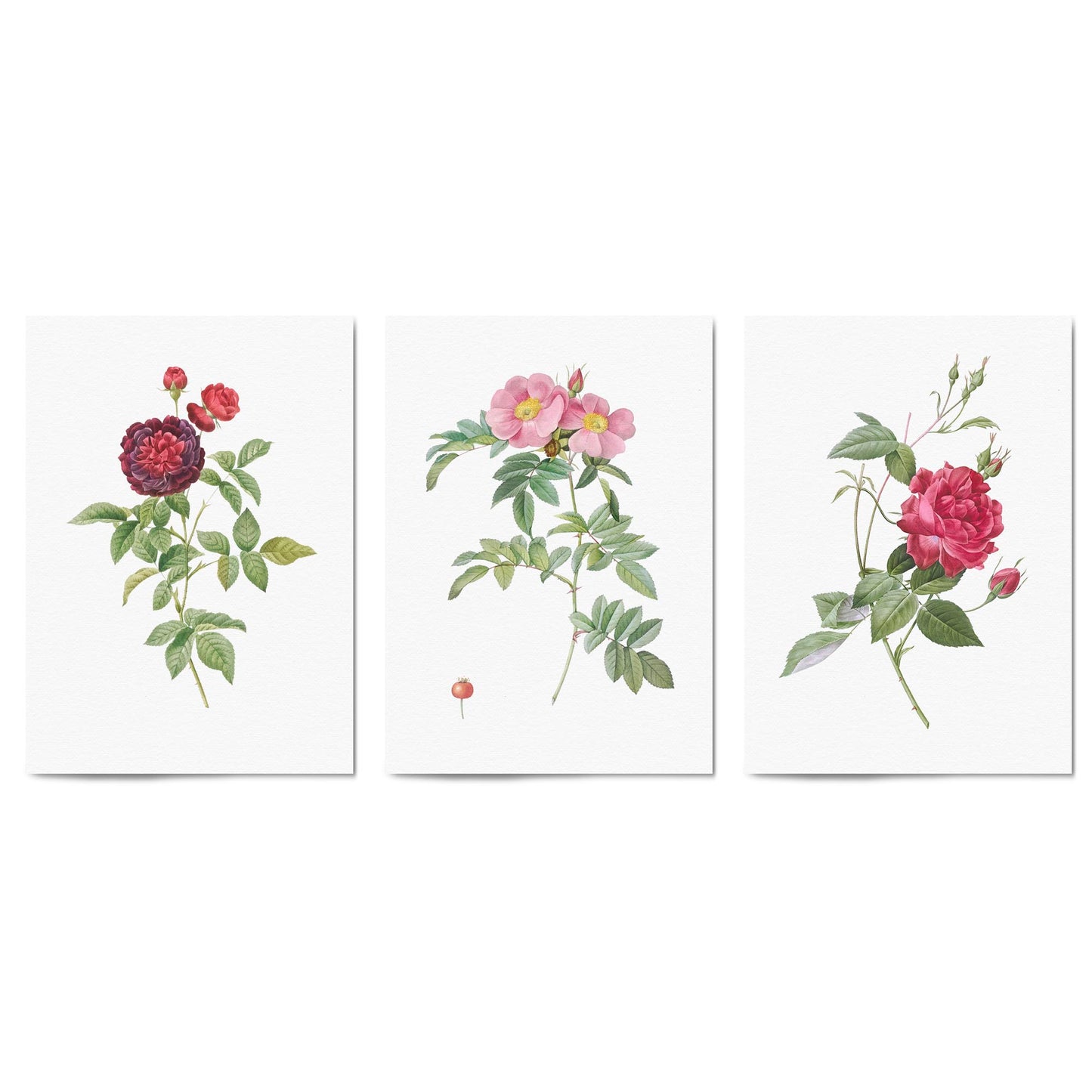 Set of Red & White Flower Botanical Wall Art - The Affordable Art Company