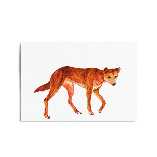 Australian Dingo Painting Animal Nursery Wall Art - The Affordable Art Company