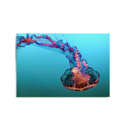 Electric Jellyfish Blue Photograph Neon Wall Art - The Affordable Art Company