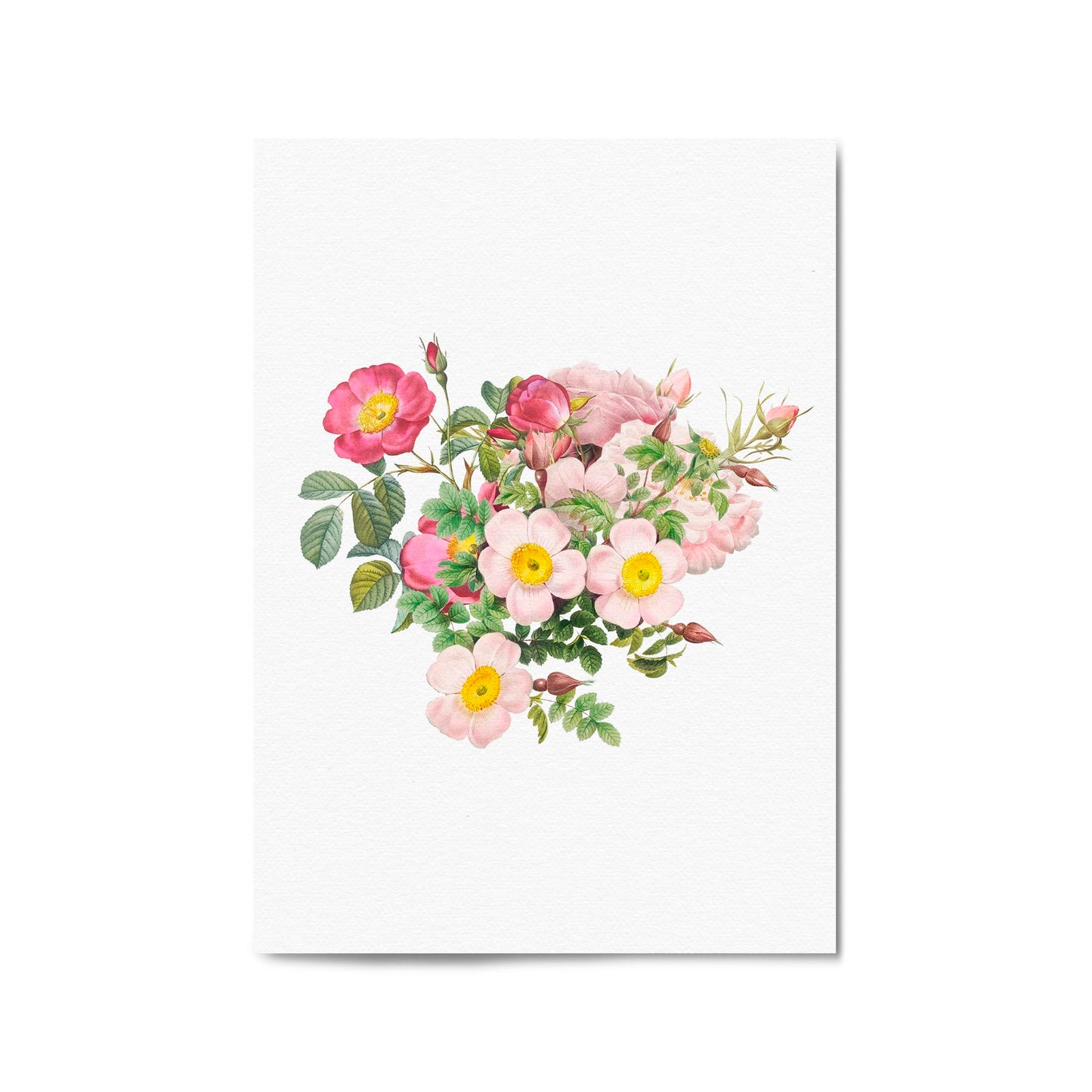 Botanical Flower Painting Floral Kitchen Wall Art #4 - The Affordable Art Company