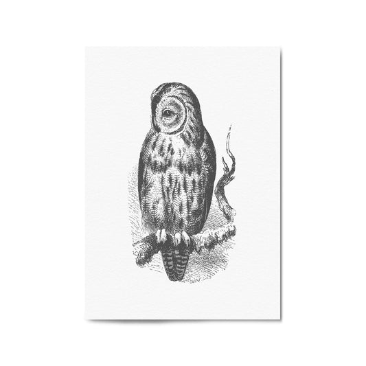 Owl Drawing Portrait Minimal Black Wall Art #3 - The Affordable Art Company