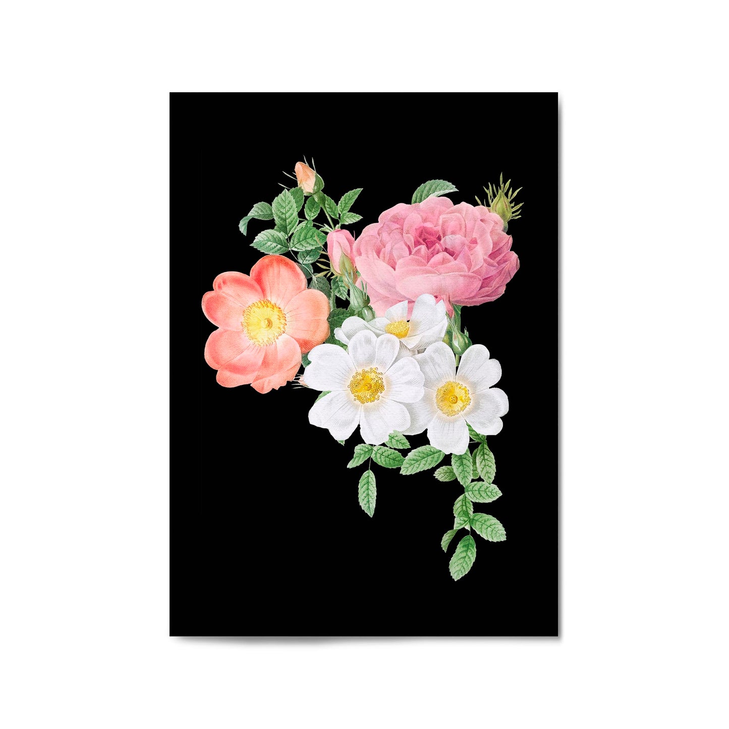 Botanical Flower Painting Floral Kitchen Wall Art #9 - The Affordable Art Company