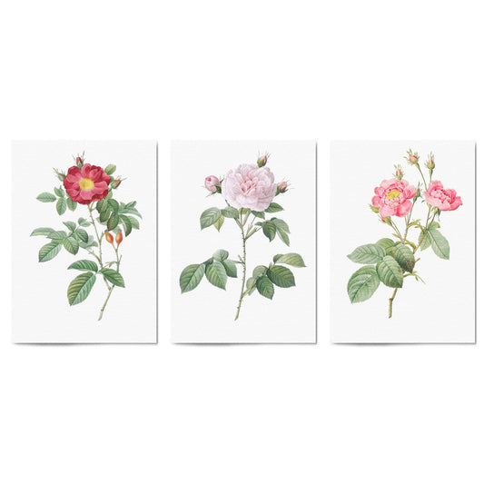 Set of Pink Floral Vintage Botanical Wall Art #3 - The Affordable Art Company