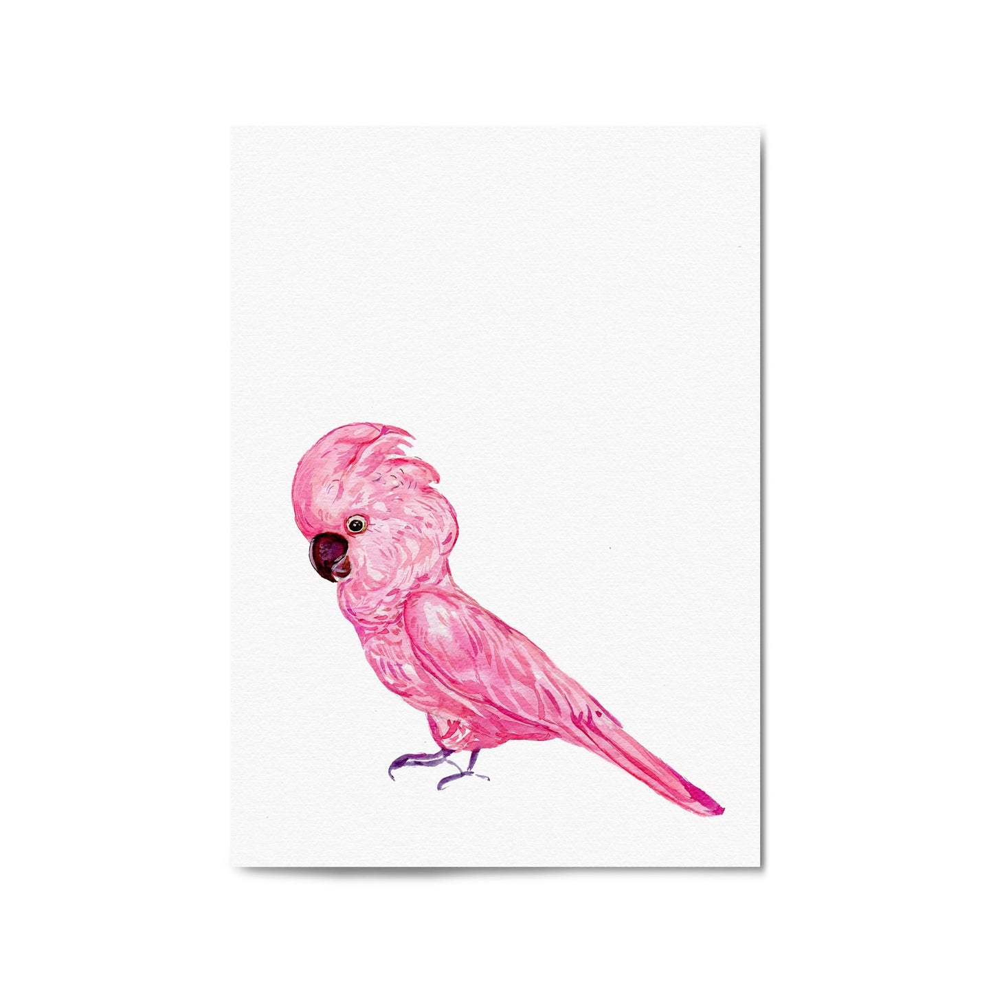 Pink Galah Bird Painting Nursery Australian Wall Art - The Affordable Art Company