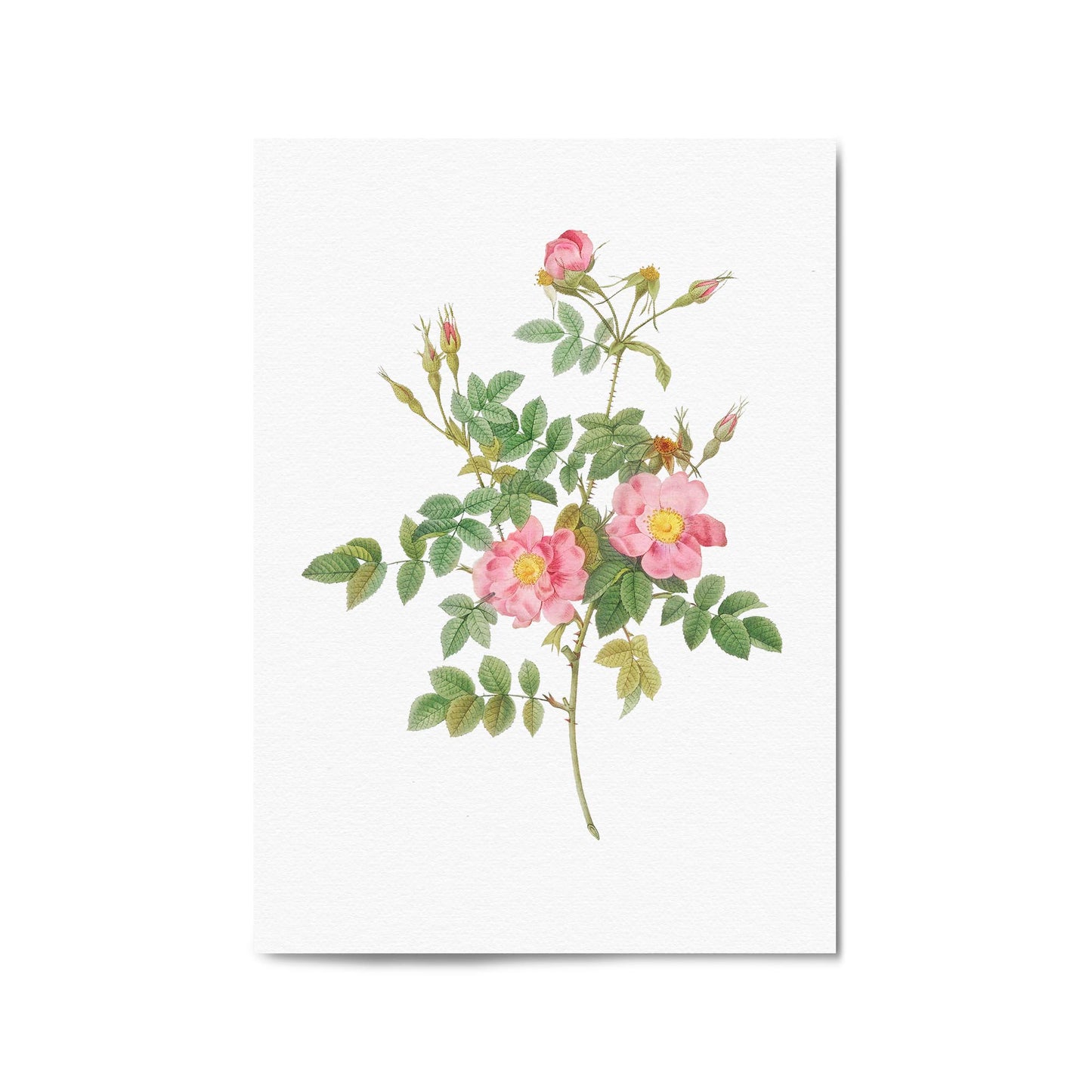 Flower Botanical Painting Kitchen Hallway Wall Art #47 - The Affordable Art Company