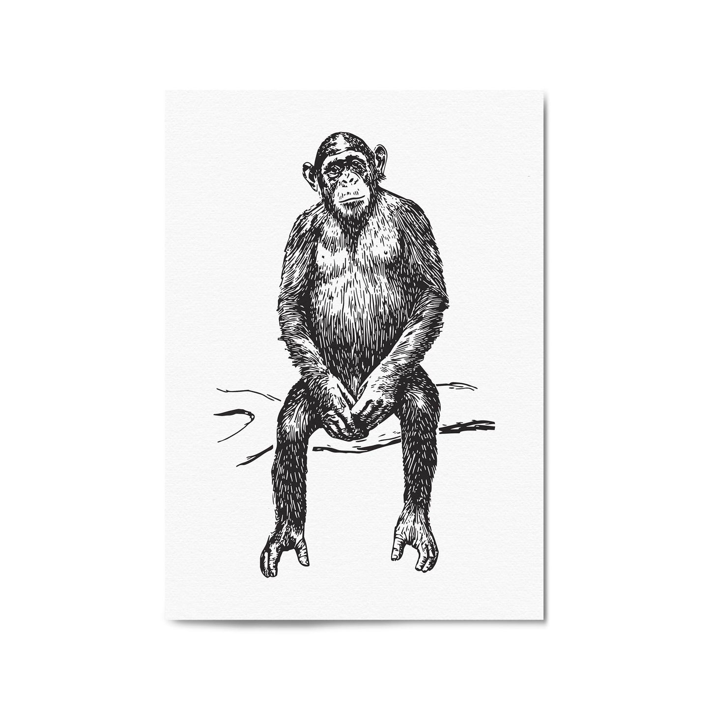 Monkey Drawing Animal Jungle Wall Art - The Affordable Art Company