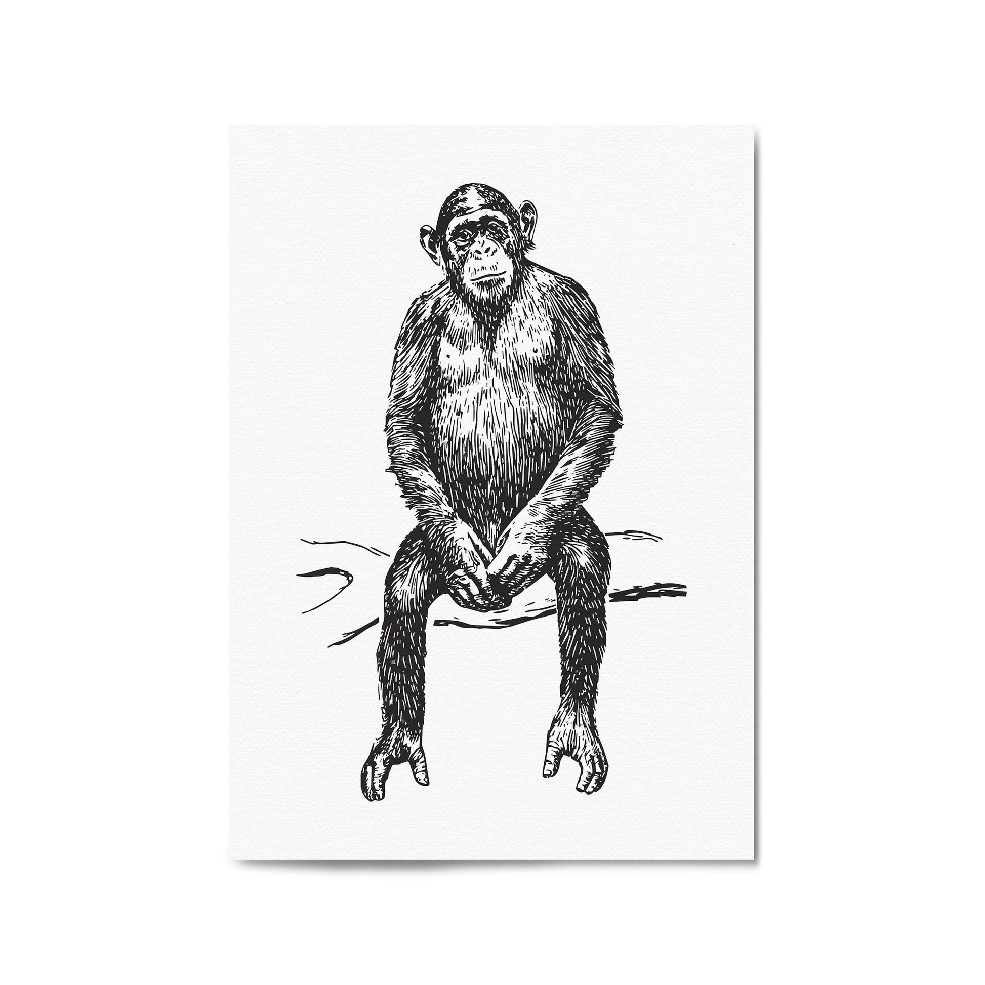 Monkey Drawing Animal Jungle Wall Art - The Affordable Art Company