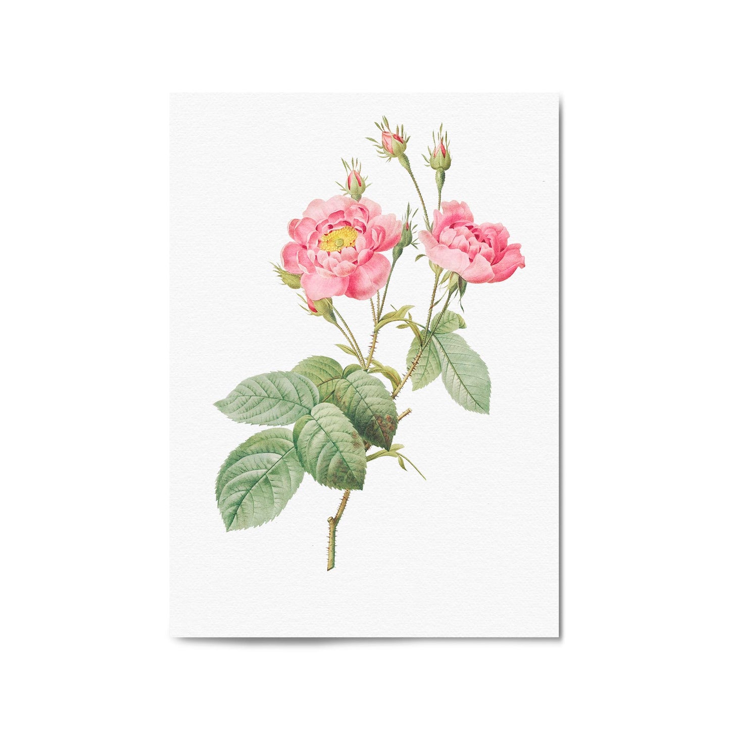 Flower Botanical Painting Kitchen Hallway Wall Art #12 - The Affordable Art Company