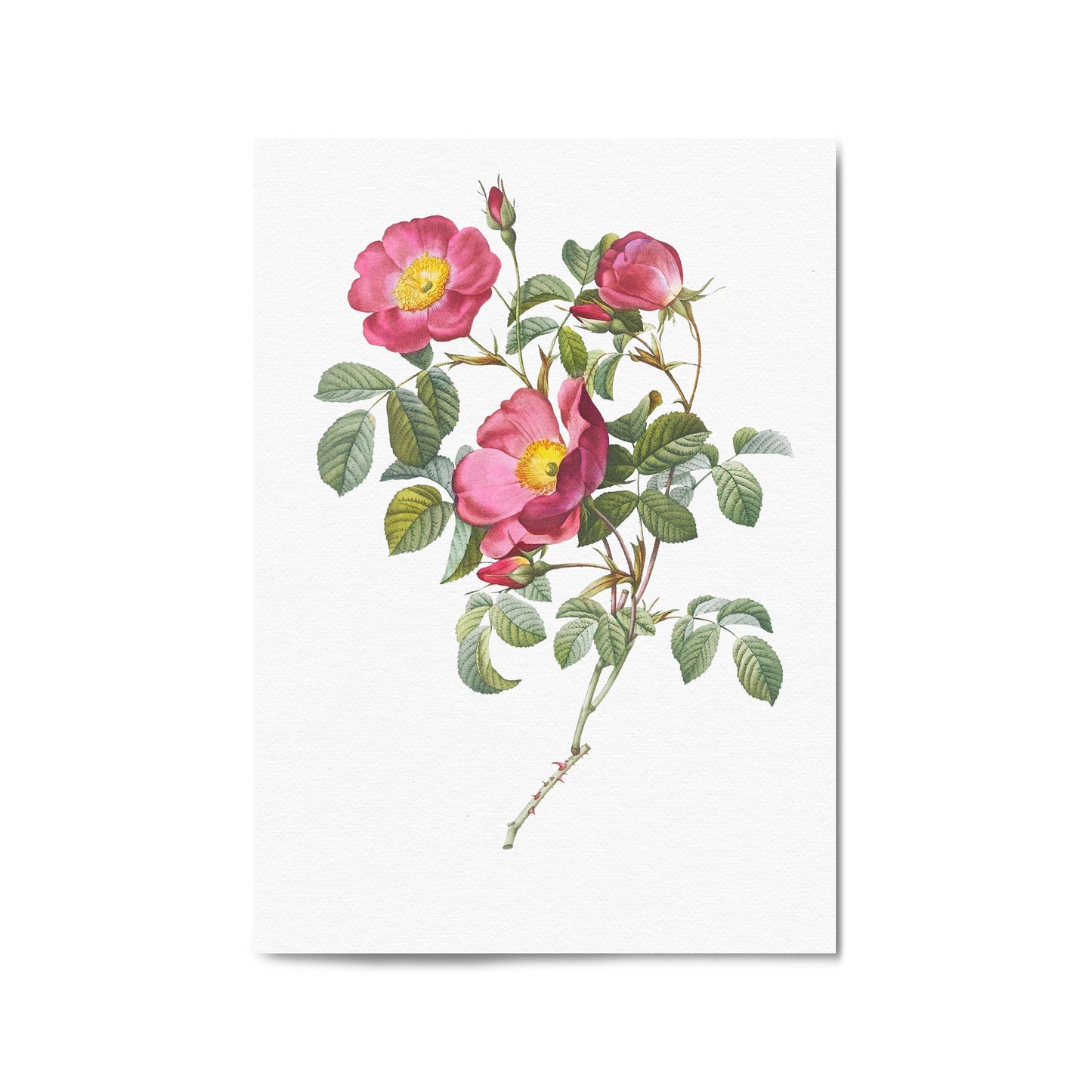 Flower Botanical Painting Kitchen Hallway Wall Art #41 - The Affordable Art Company