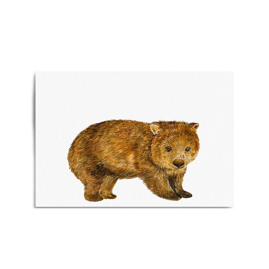 Australian Wombat Painting Animal Wall Art - The Affordable Art Company