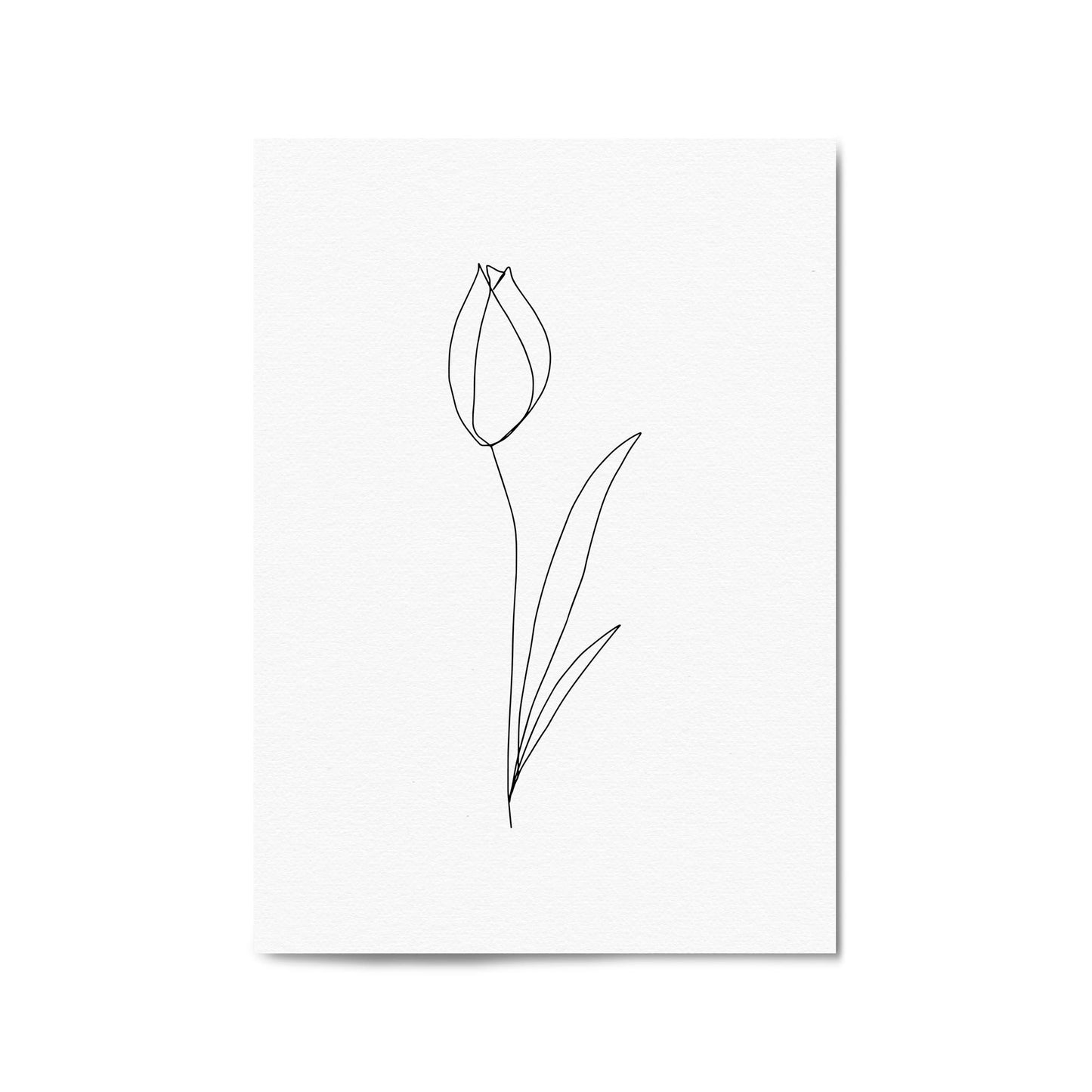 Minimal Tulip Flower Line Drawing Wall Art #1 - The Affordable Art Company