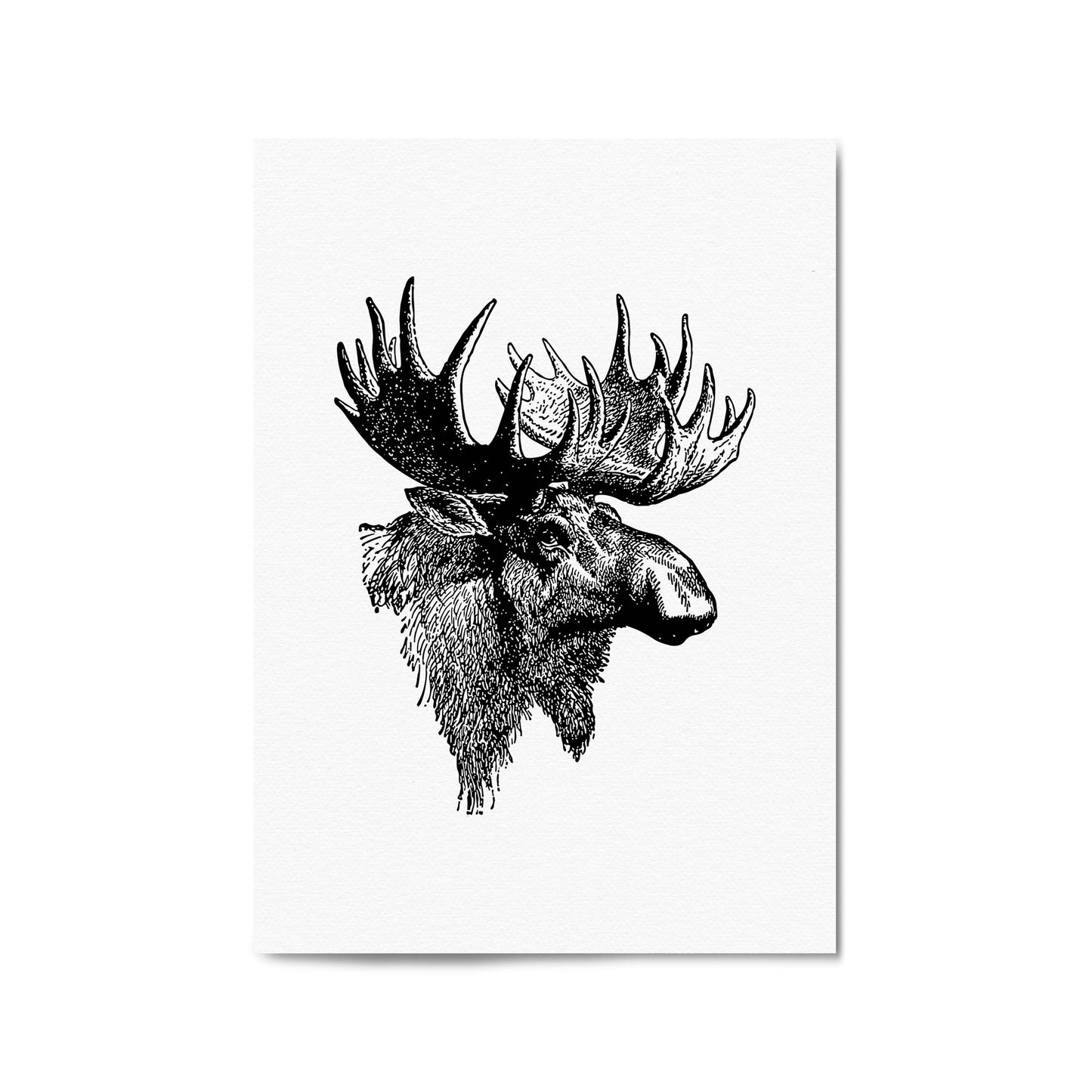 Moose Head Drawing Hunting Man Cave Wall Art #2 - The Affordable Art Company