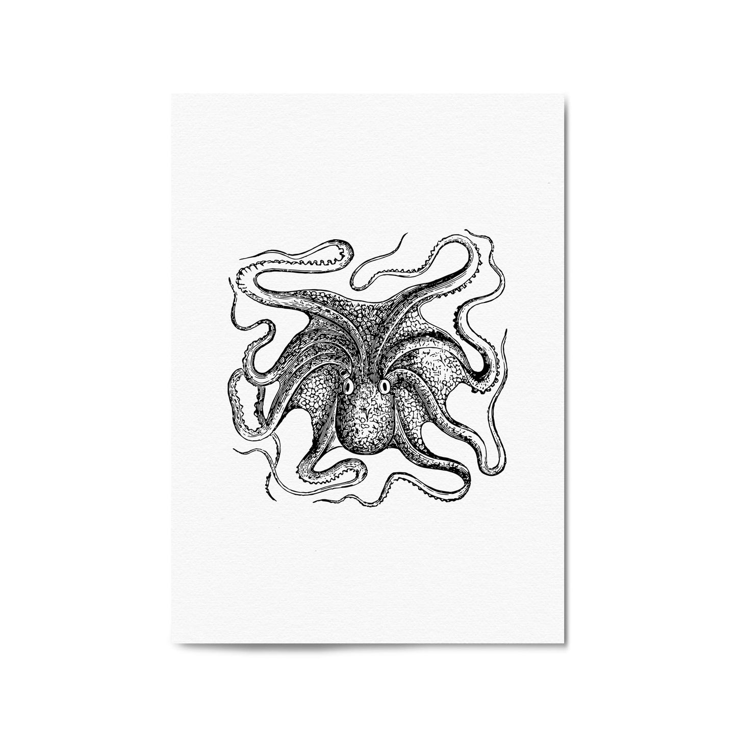 Octopus Drawing Minimal Sealife Wall Art #1 - The Affordable Art Company