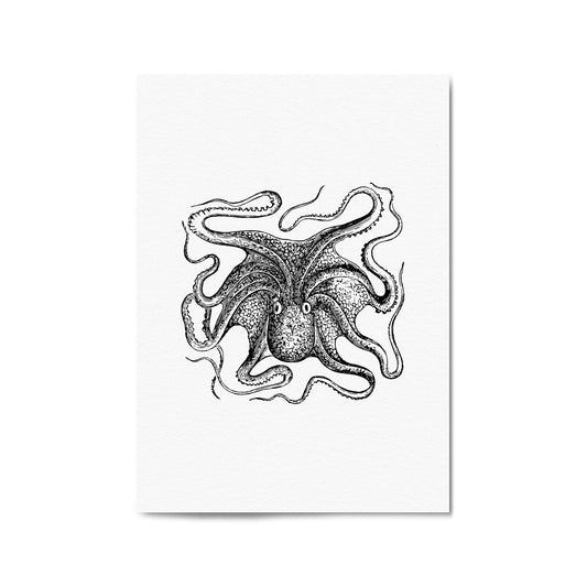 Octopus Drawing Minimal Sealife Wall Art #1 - The Affordable Art Company