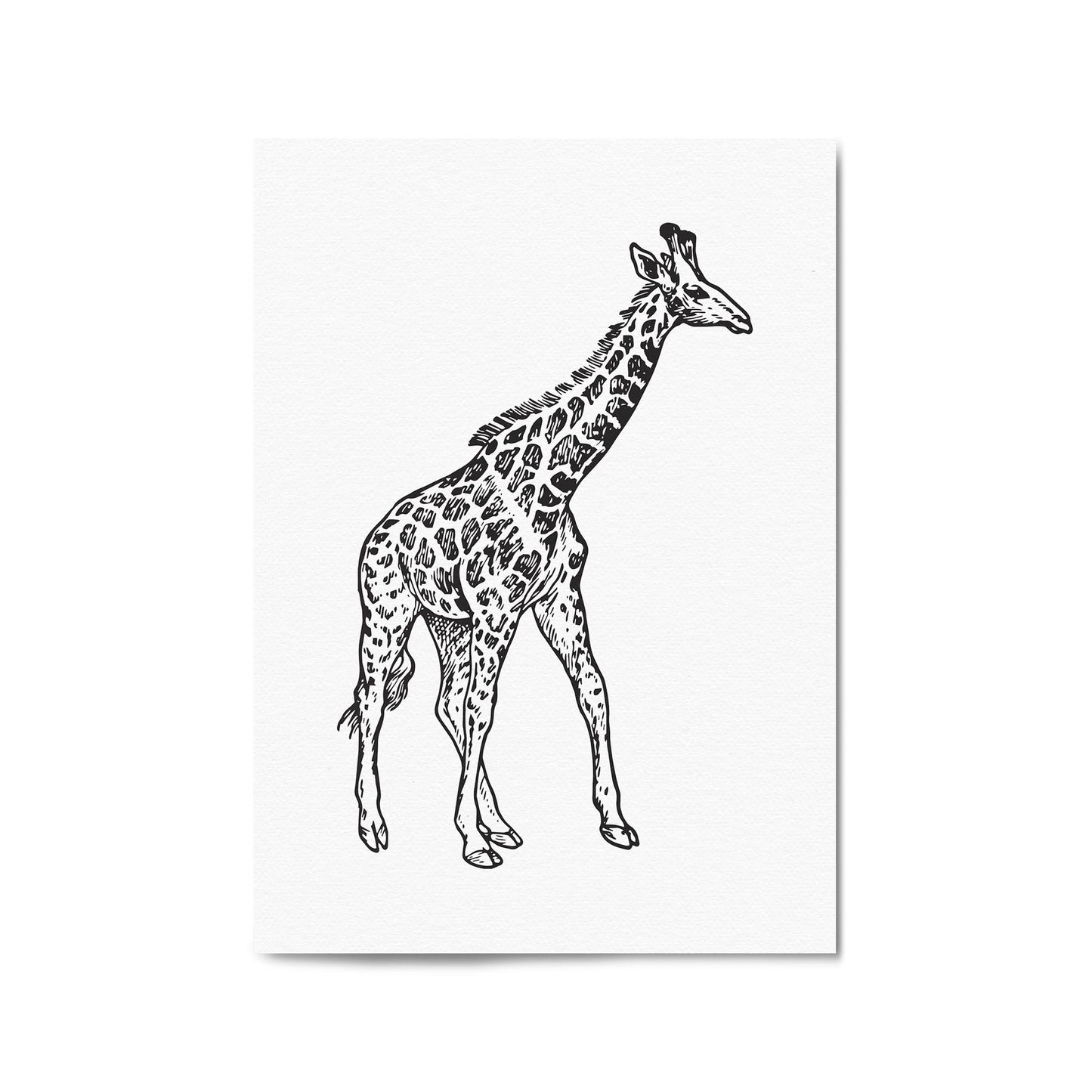 Detailed Giraffe Drawing Safari Animal Wall Art - The Affordable Art Company
