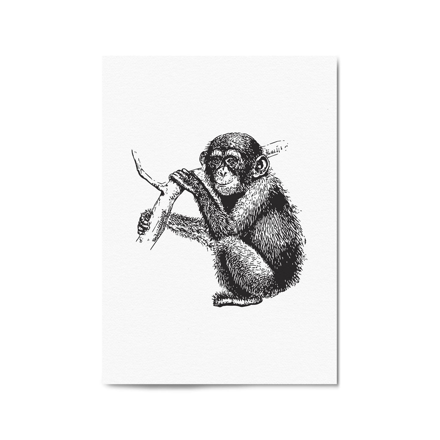 Monkey Baby Drawing Animal Jungle Wall Art - The Affordable Art Company