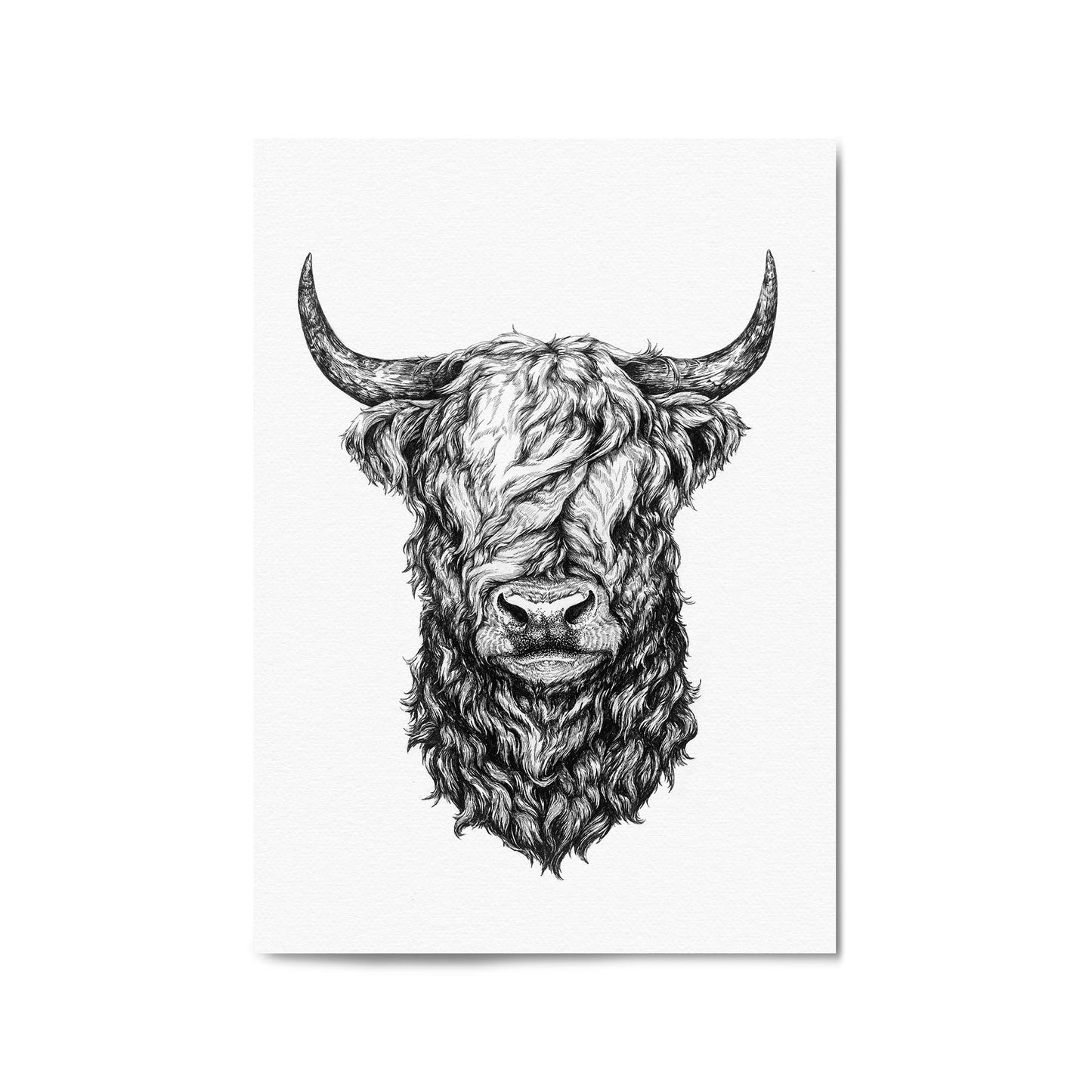 Highland Cow Detailed Head Drawing Wall Art - The Affordable Art Company