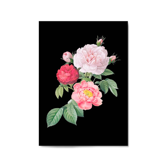 Botanical Flower Painting Floral Kitchen Wall Art #7 - The Affordable Art Company