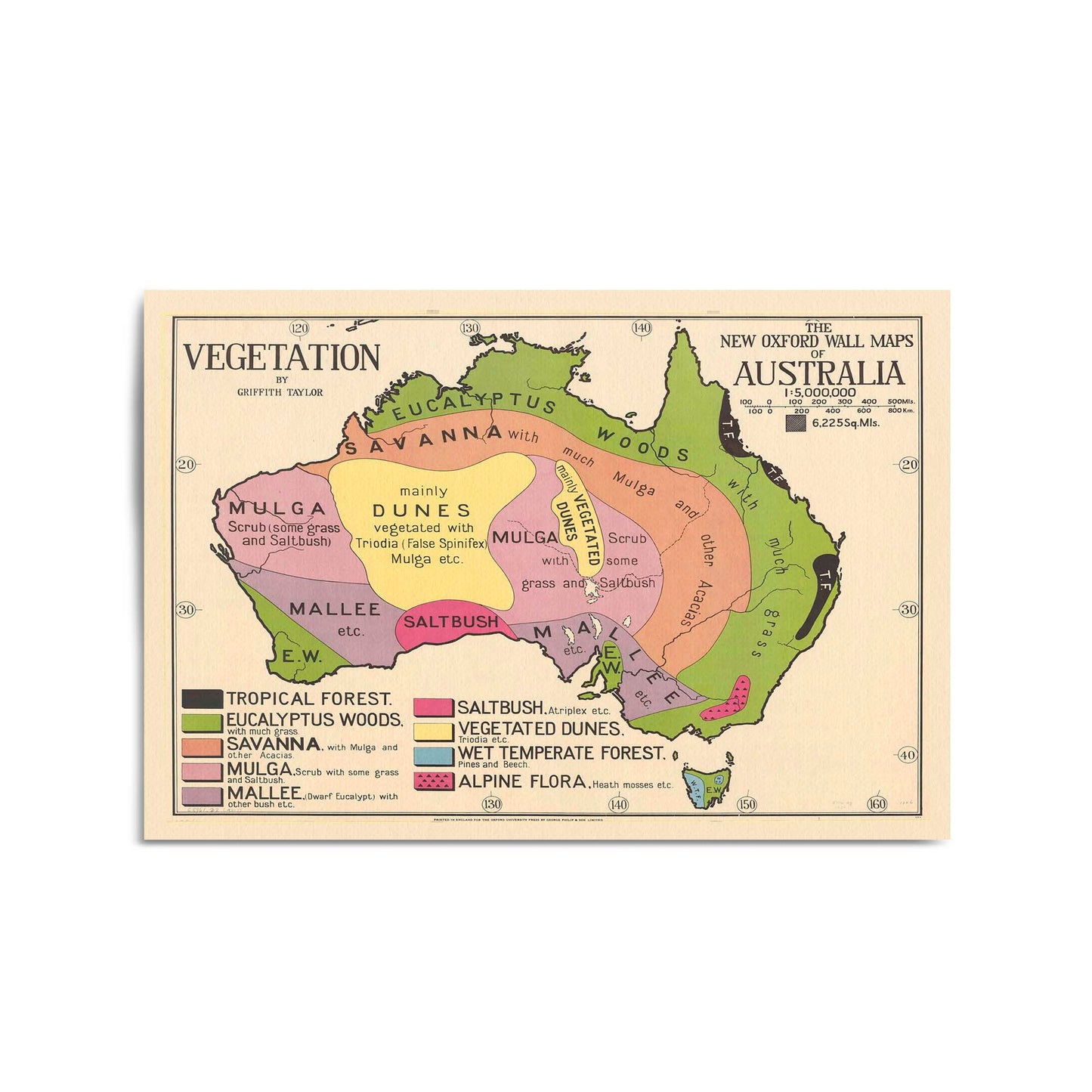 Australian Vegetation Vintage Map Wall Art - The Affordable Art Company