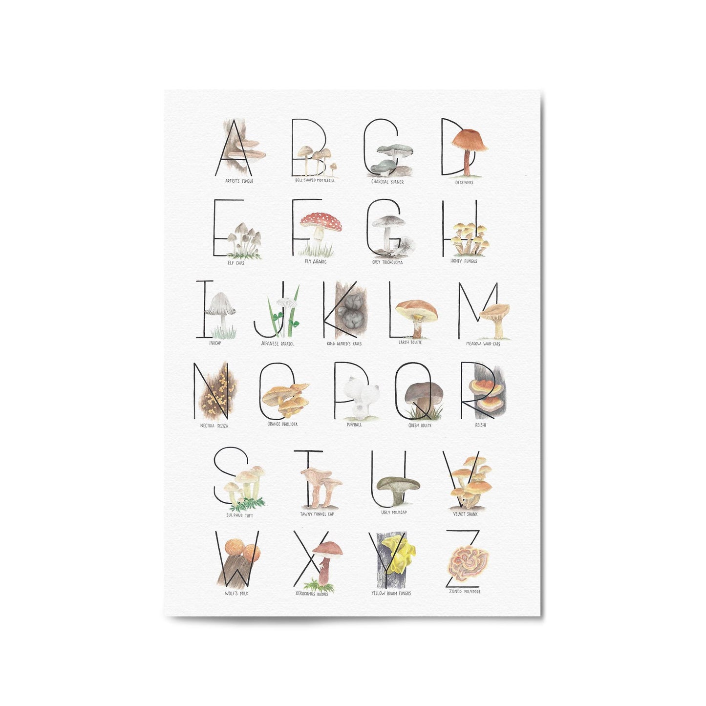 Mushroom Alphabet Kitchen Cafe Vegetarian Wall Art - The Affordable Art Company