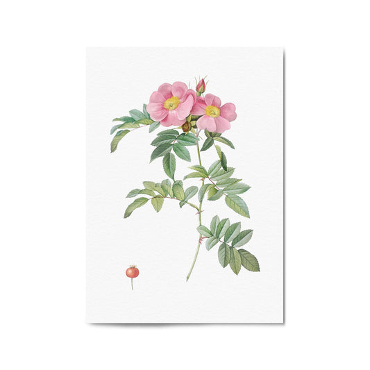Flower Botanical Painting Kitchen Hallway Wall Art #32 - The Affordable Art Company