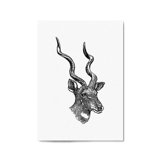 Kudu Detailed Drawing African Safari Wall Art - The Affordable Art Company