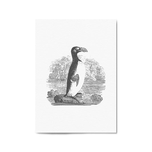 Penguin Drawing Animal Office Library Wall Art #2 - The Affordable Art Company