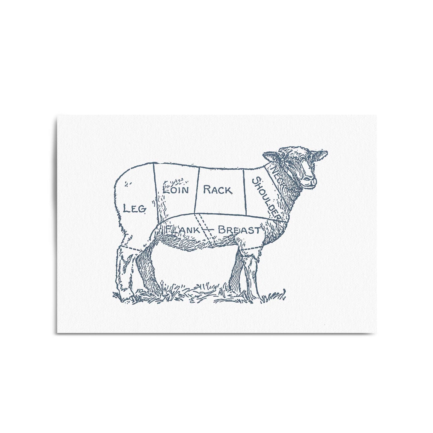Butcher Shop Lamb Drawing Meat Wall Art - The Affordable Art Company