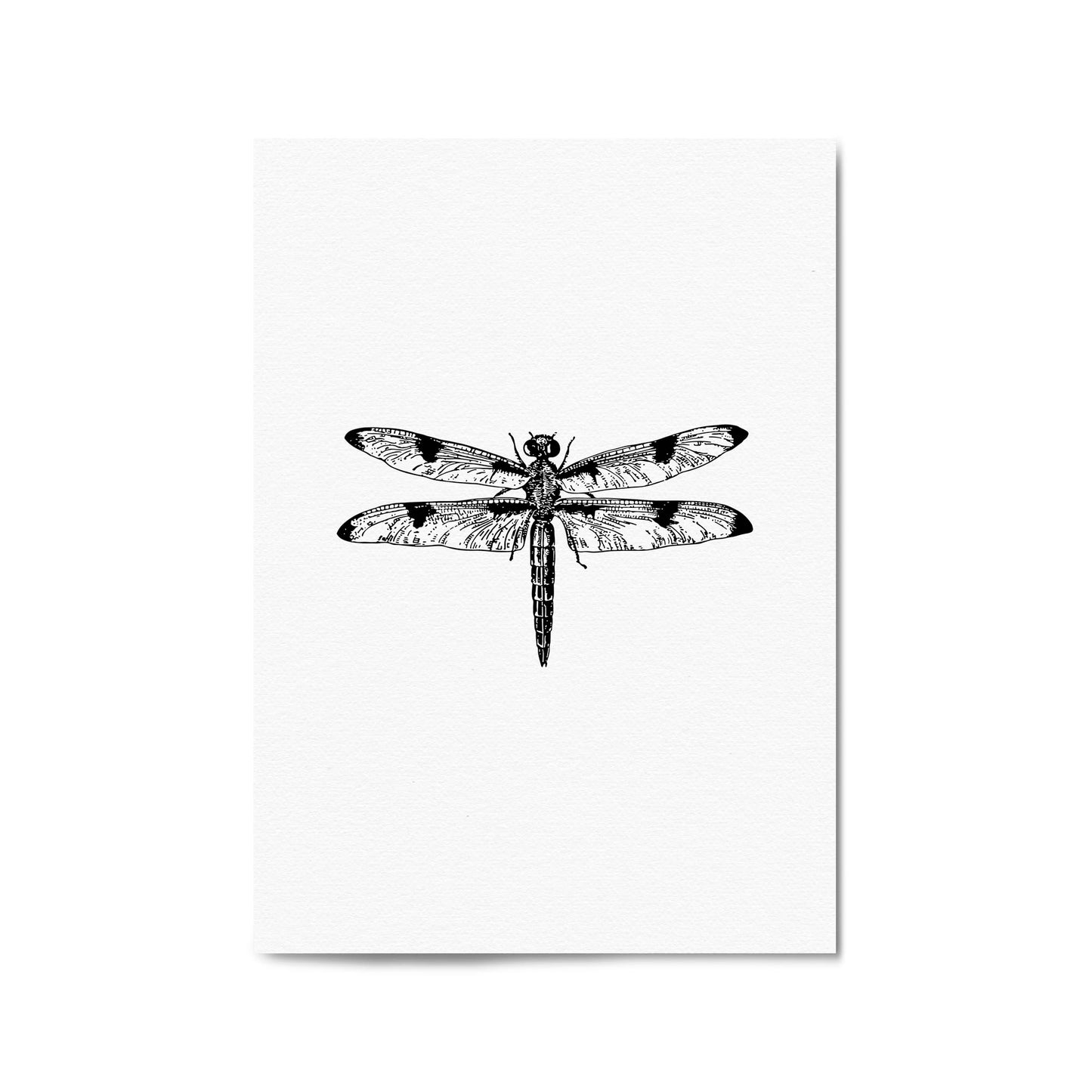 Dragonfly Drawing Insect Minimal Artwork Wall Art #1 - The Affordable Art Company