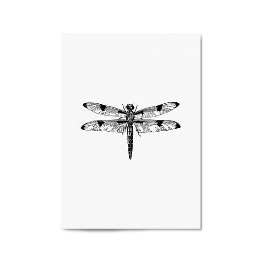 Dragonfly Drawing Insect Minimal Artwork Wall Art #1 - The Affordable Art Company