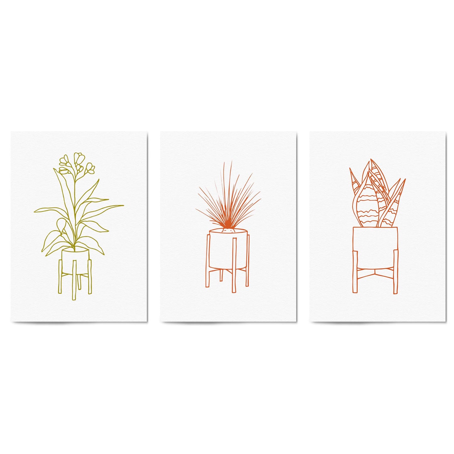 Set of Minimal House Plant Drawing Wall Art #1 - The Affordable Art Company