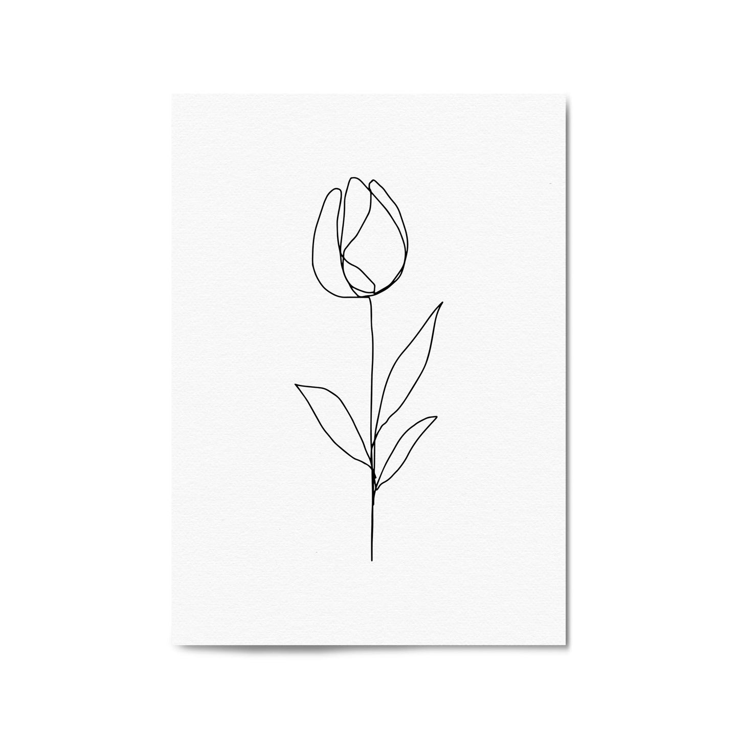 Minimal Tulip Flower Line Drawing Wall Art #5 - The Affordable Art Company