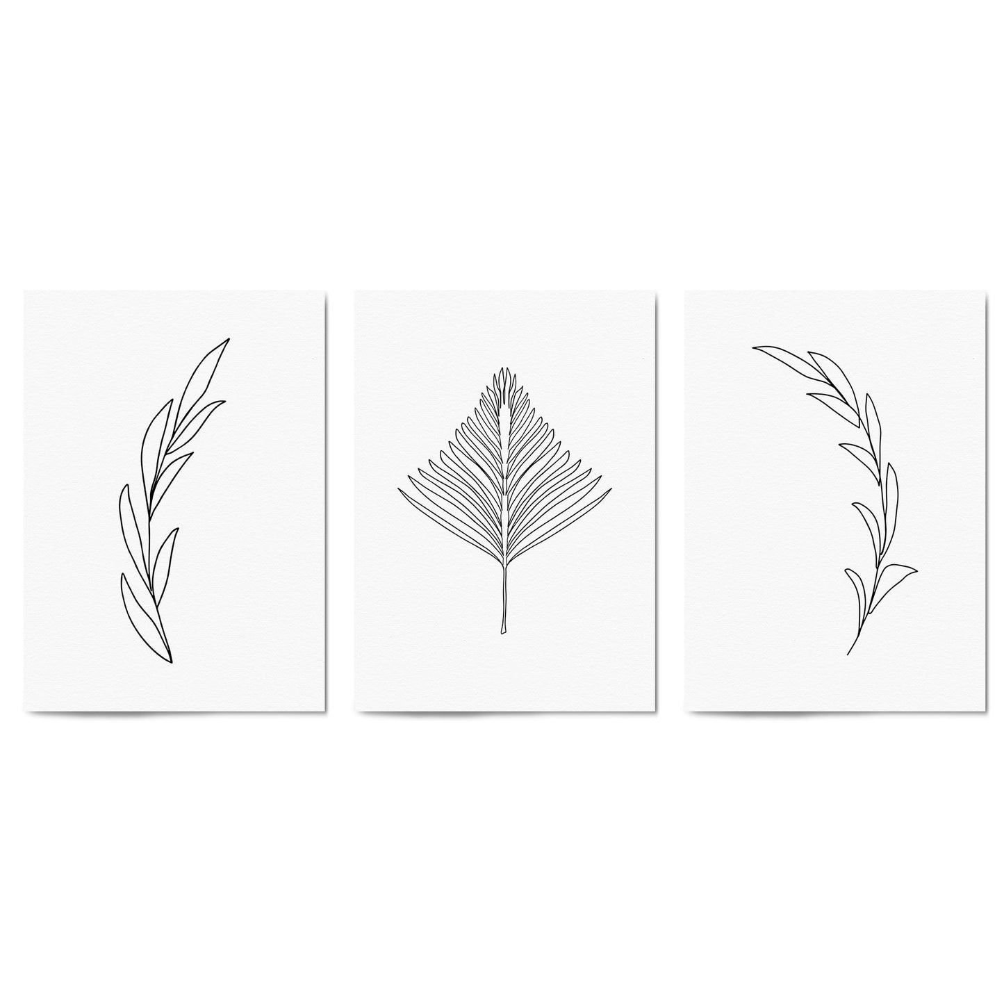 Set of Minimal Plant Line Drawings Wall Art #1 - The Affordable Art Company