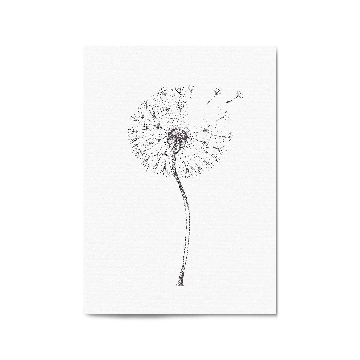 Dandelion Drawing Minimal Flower Wall Art #1 - The Affordable Art Company