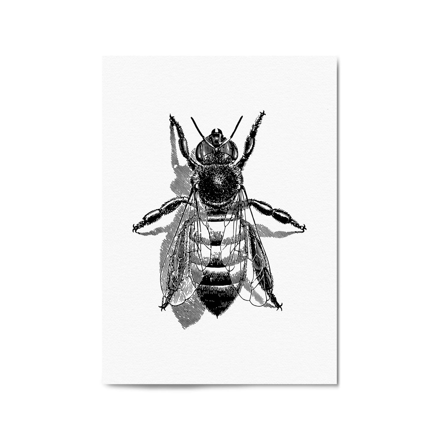 Worker Bee Drawing Insect Honey Wall Art - The Affordable Art Company