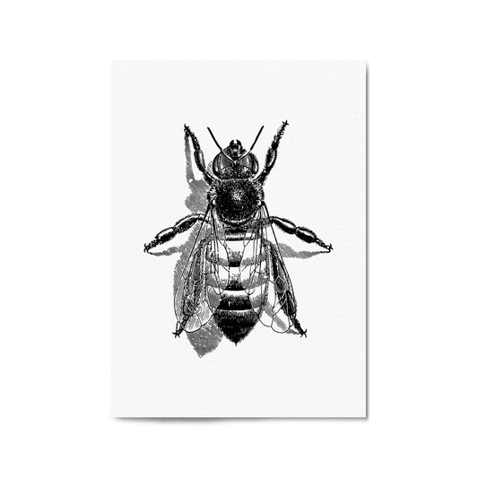 Worker Bee Drawing Insect Honey Wall Art - The Affordable Art Company