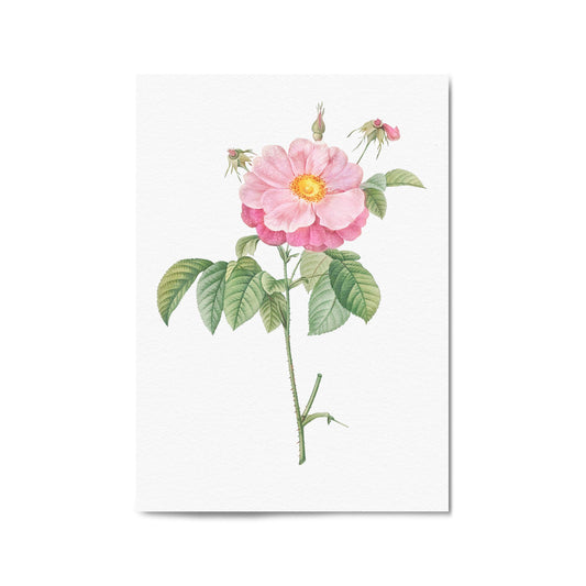 Flower Botanical Painting Kitchen Hallway Wall Art #6 - The Affordable Art Company