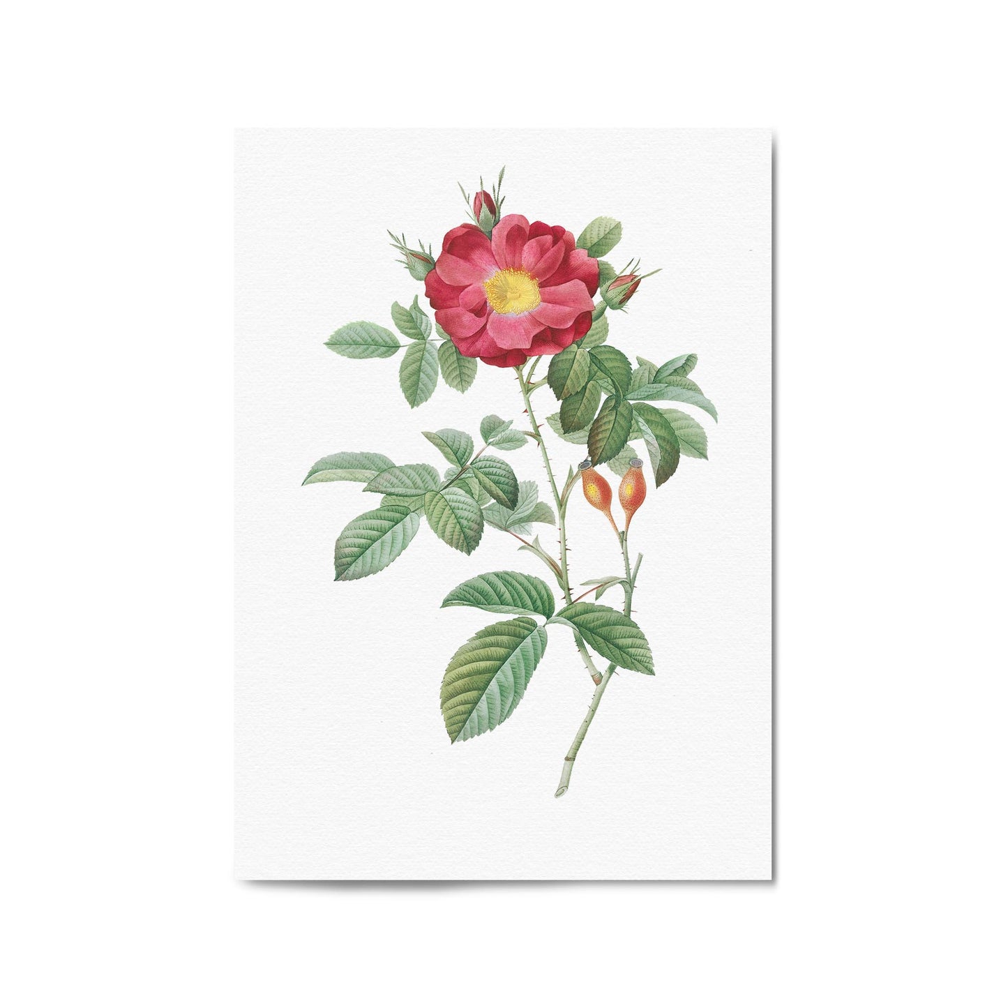 Flower Botanical Painting Kitchen Hallway Wall Art #9 - The Affordable Art Company