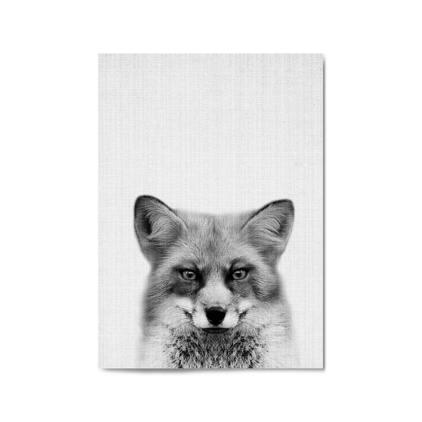 Fox Portrait Drawing Minimal Animal Wall Art - The Affordable Art Company